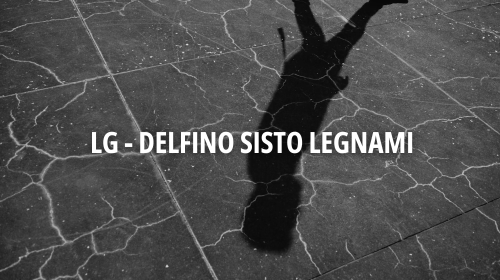 LG - Delfino Sisto Legnami